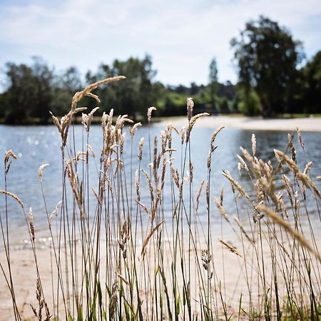 Ferienparadies Muehlenbach Soltau Esterno foto
