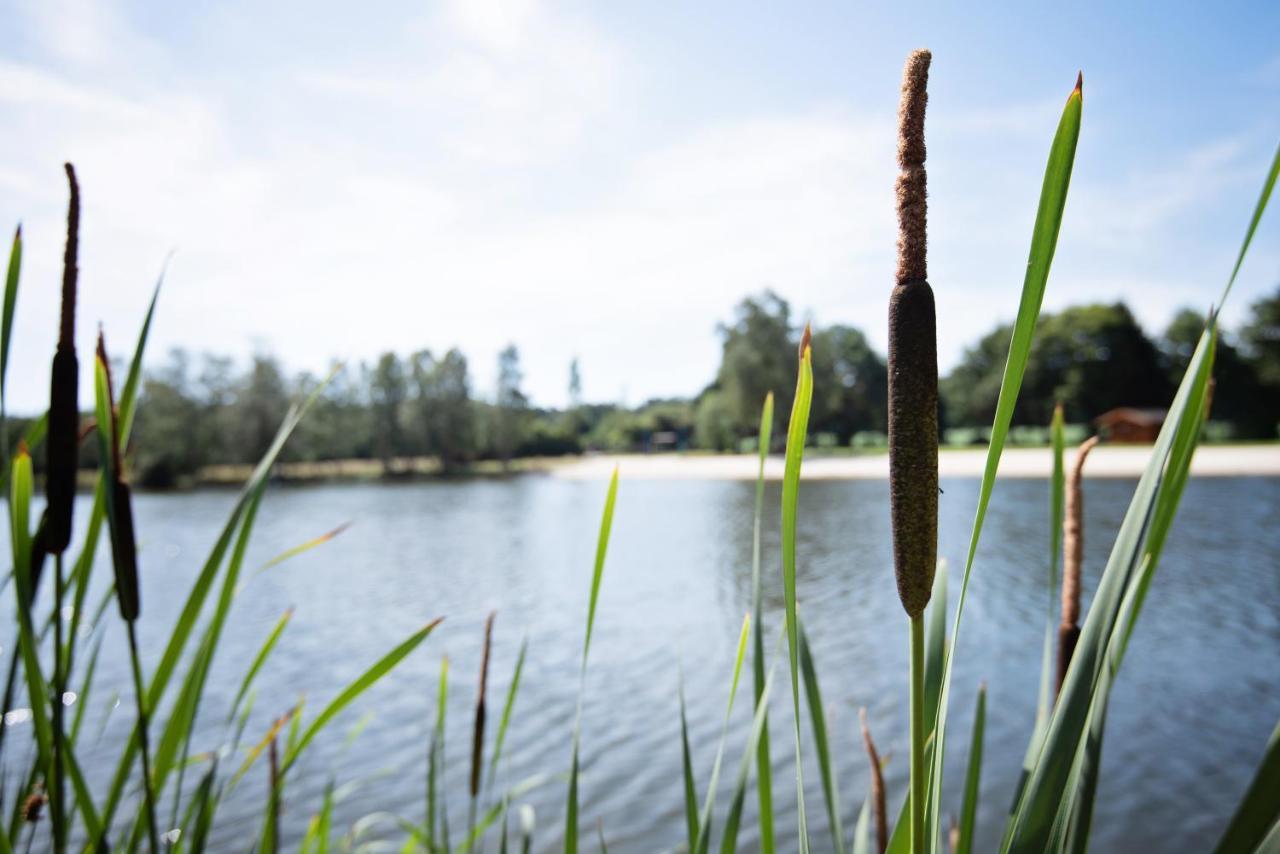Ferienparadies Muehlenbach Soltau Esterno foto