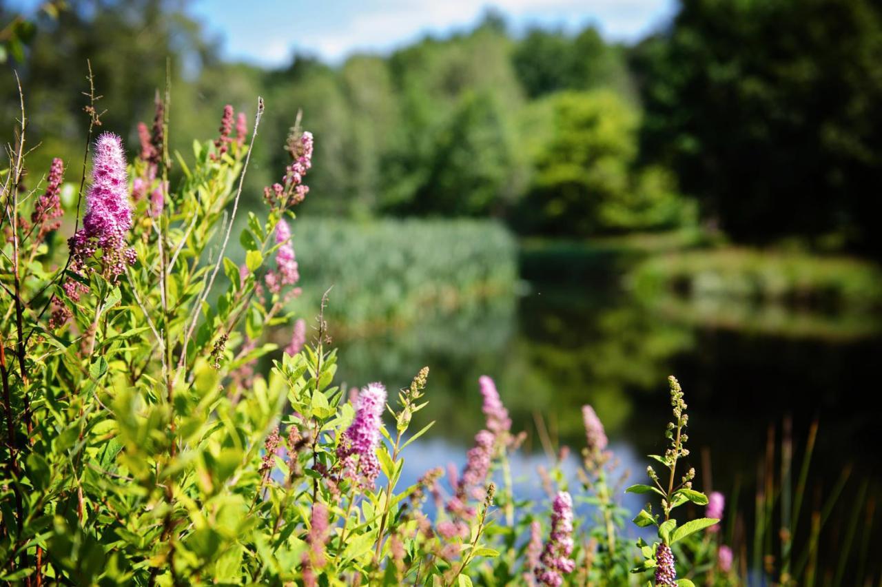 Ferienparadies Muehlenbach Soltau Esterno foto