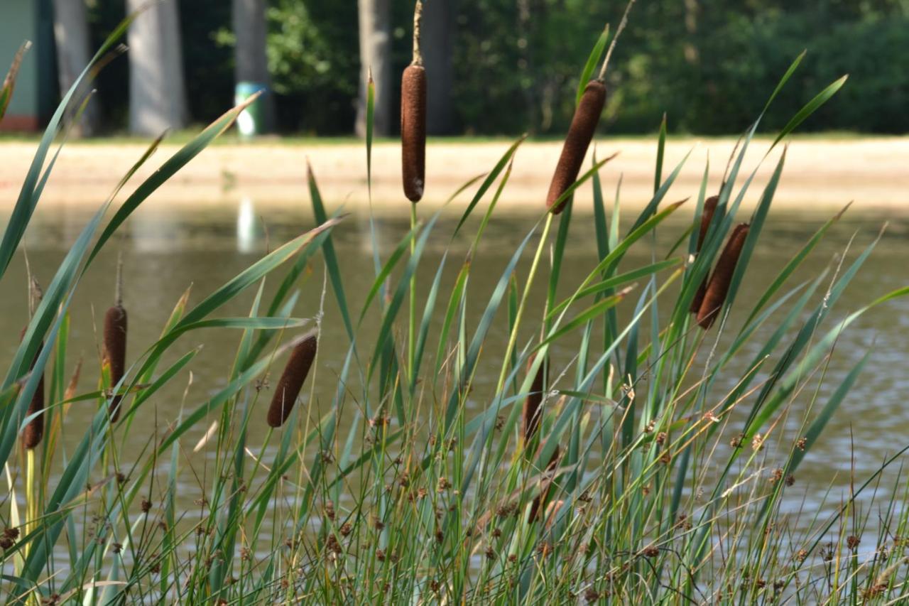 Ferienparadies Muehlenbach Soltau Esterno foto